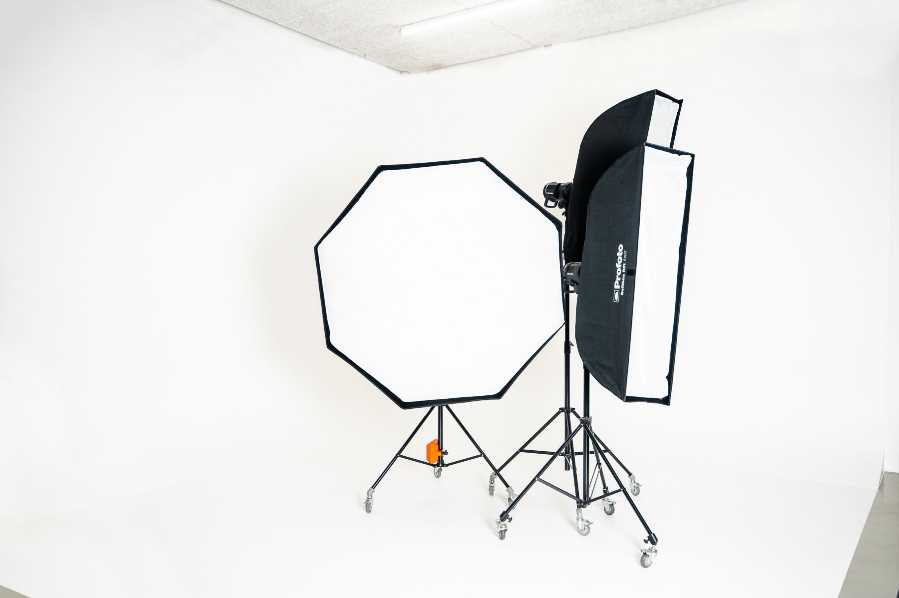 Profoto-Blitze zum Ausleuchten der Hohlkehle